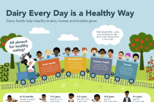 Dairy Every Day – Image